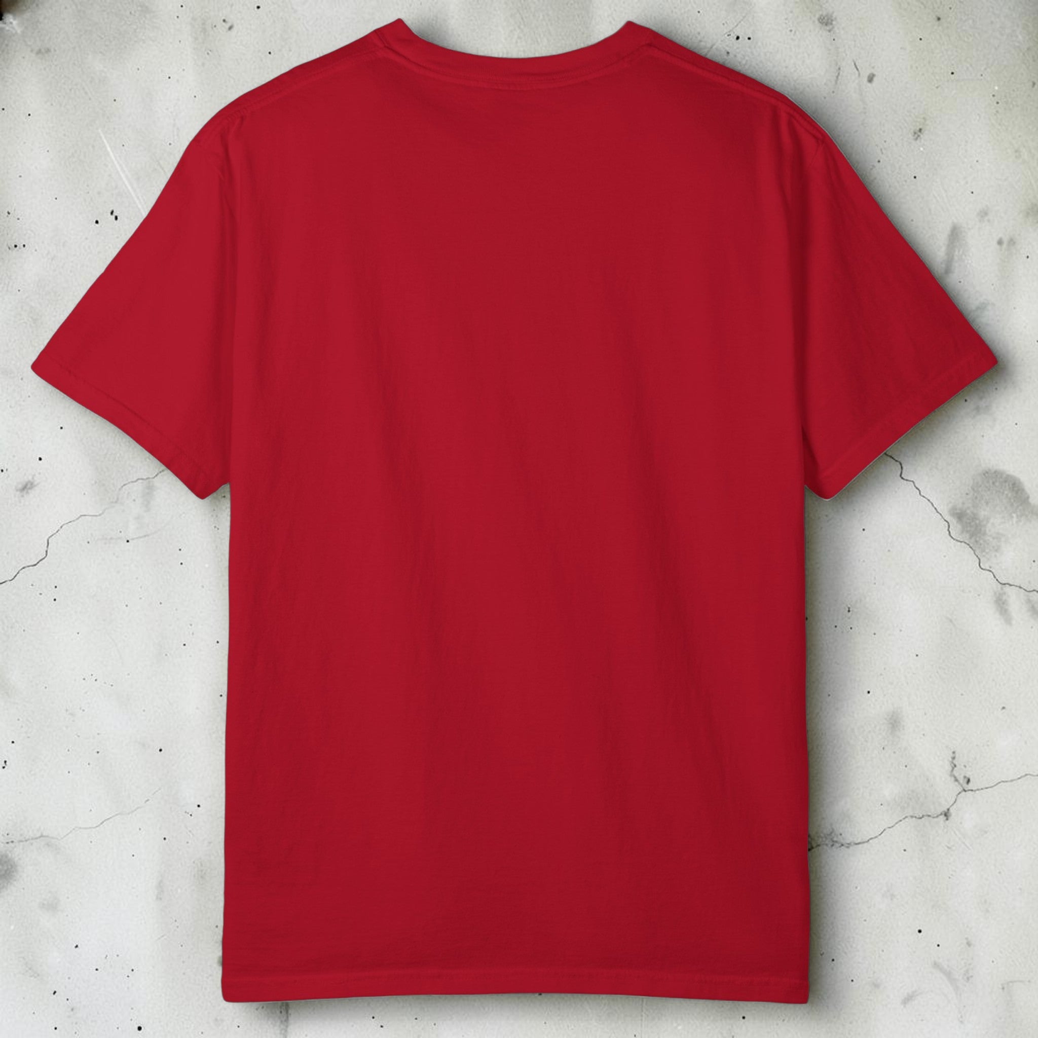 Ever Since I Was a Kid Graphic Tee